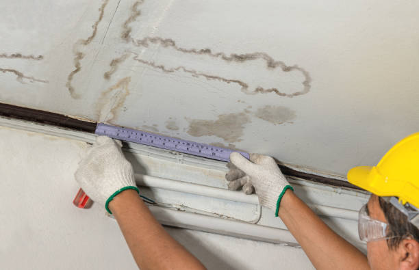 Reliable Burst Pipe Cleanup contractor in Paris, MO by Water Damage Irwin